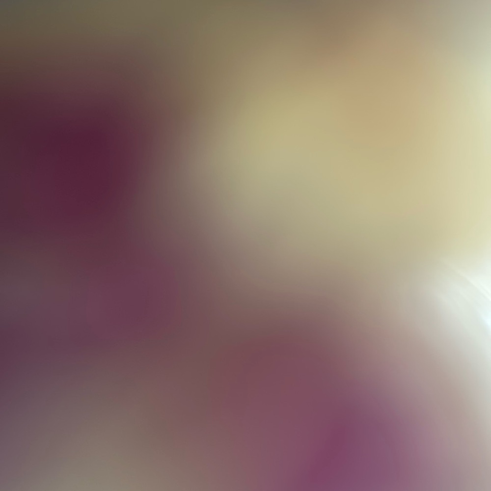 Meet your Posher, Raiana